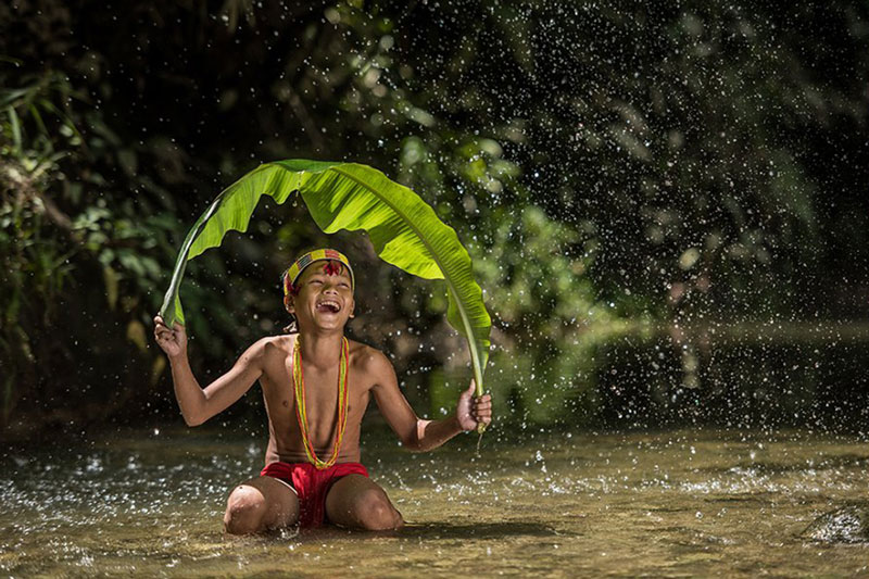 Rain Forest Desktop Presets 4594872 7