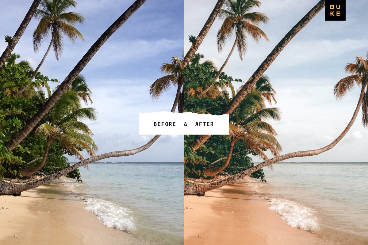 cover 02 copy