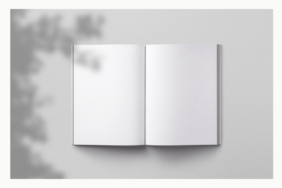 Magazine Spread Mockup 3739343