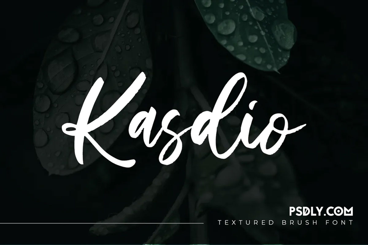 Kasdio - Casual Brush Font