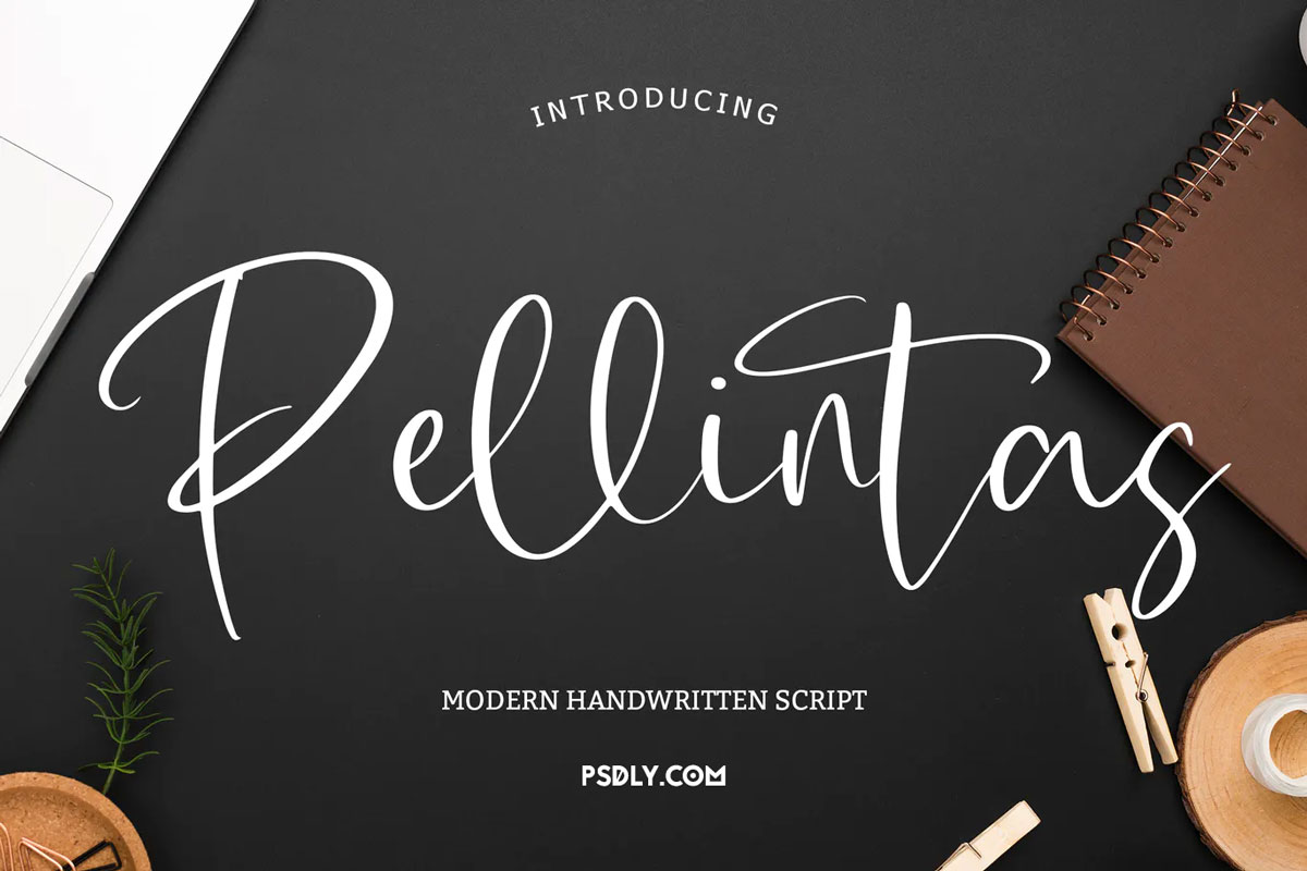 Pellintas Modern Handwritten Script