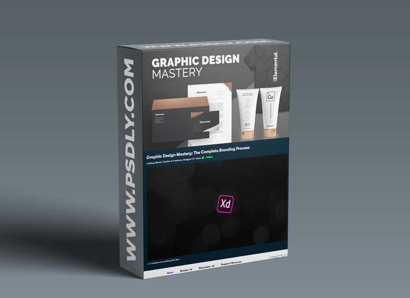 Graphic Design Mastery: The Complete Branding Process