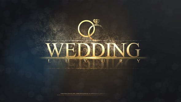 Videohive Wedding 22032085