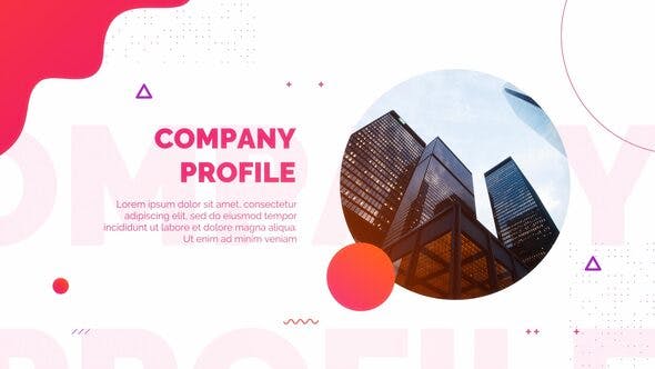 Videohive Company Profile 27034830