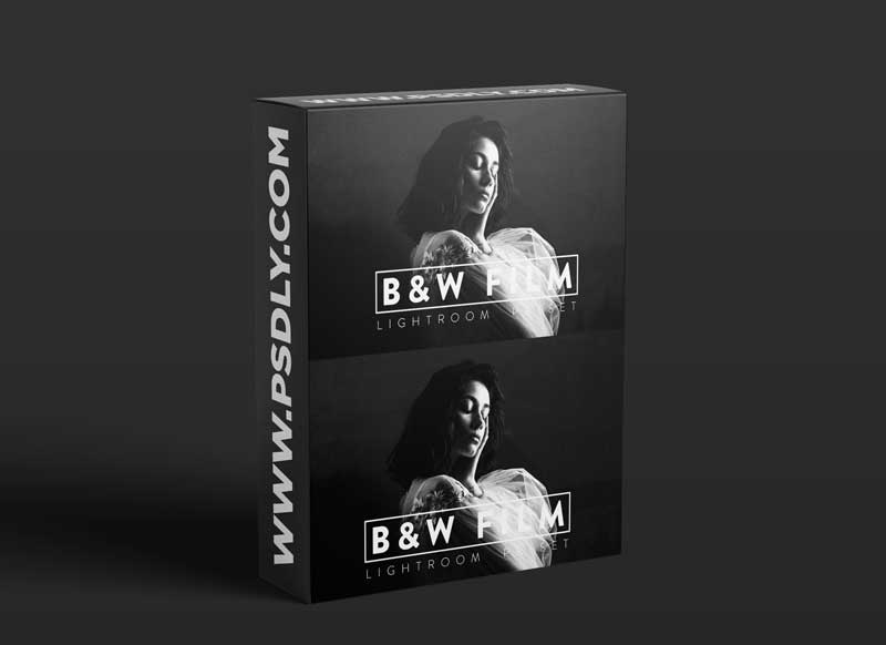10 Black and White Film Lightroom Preset