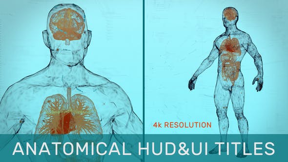 Videohive Anatomical HUD&UI Titles 31538280
