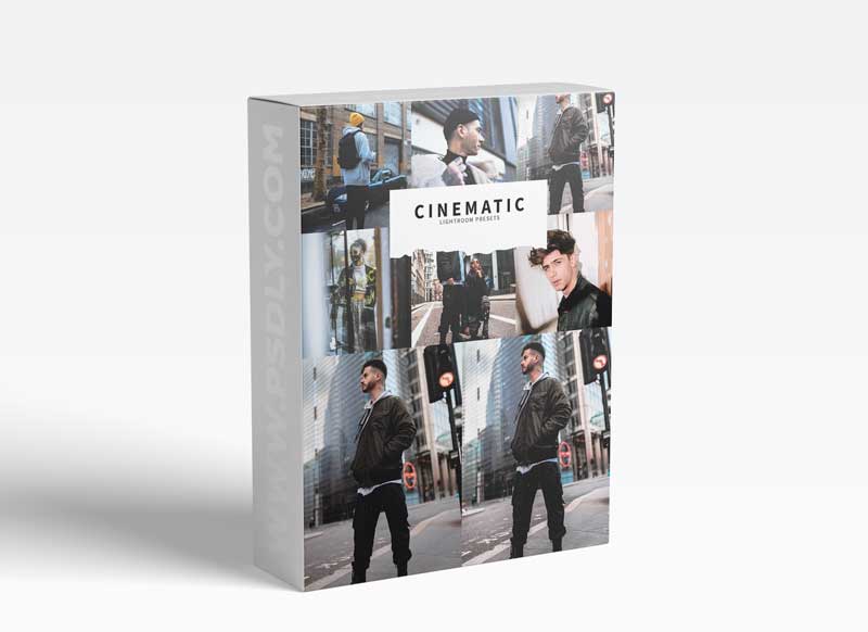 CreativeMarket - 10 Cinematic Lightroom Presets 5978551