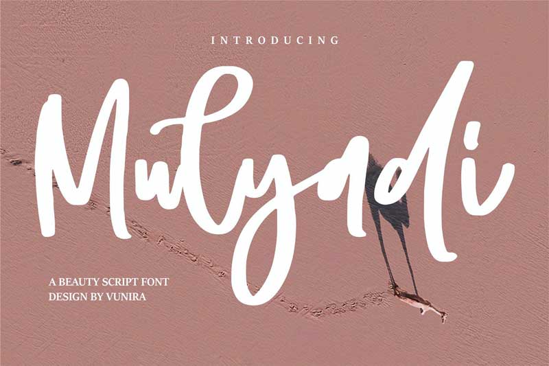 Mulyadi | A Beauty Script Font