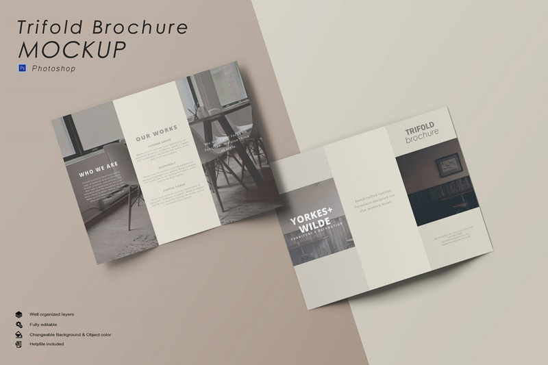 Trifold Mockup