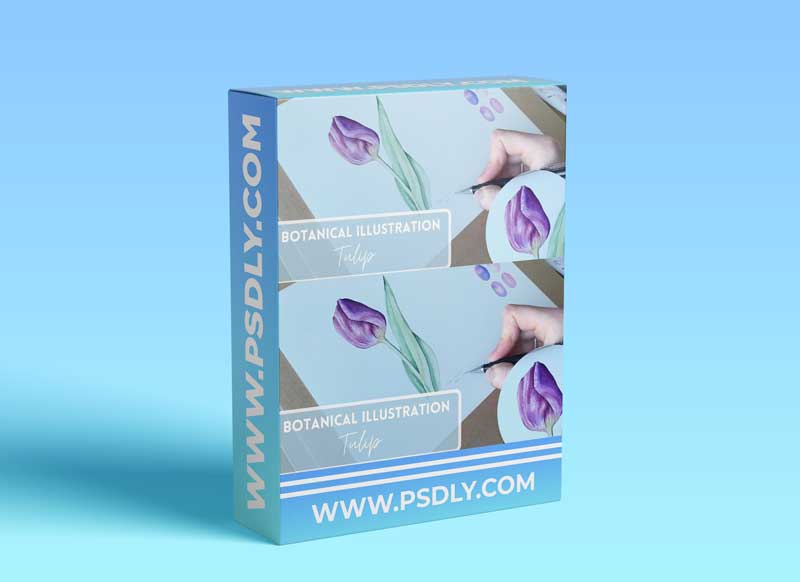 Botanical Illustration: The Fundamentals | Watercolour Tulip