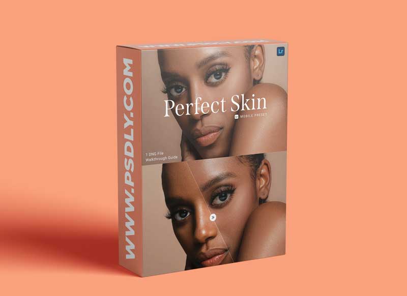 CreativeMarket - Perfect Skin Lightroom Preset 5913924