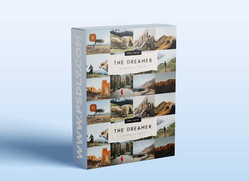 CreativeMarket - The Dreamer – 8 Lightroom Presets 6049377