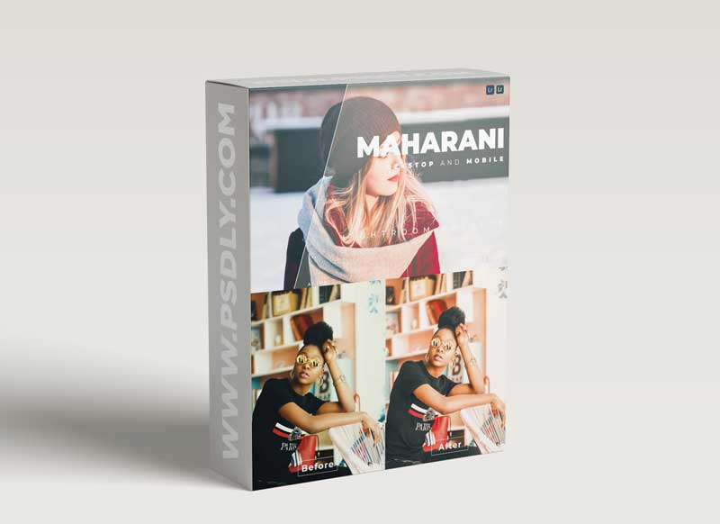 Maharani Desktop and Mobile Lightroom Preset