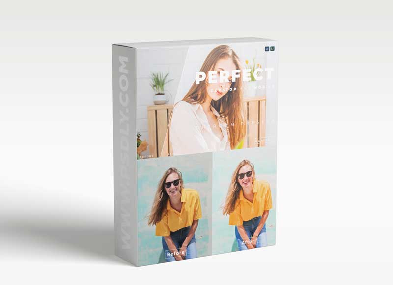 Perfect Desktop and Mobile Lightroom Preset