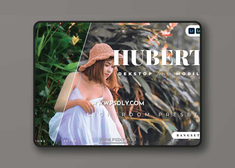 Hubert Desktop and Mobile Lightroom Preset