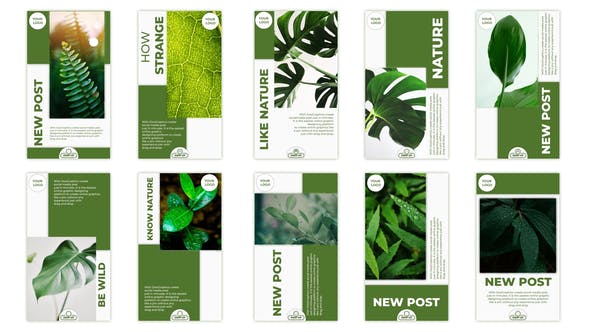 Videohive Nature Instagram Story Pack 32842412