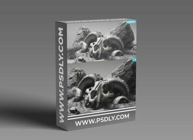 Sculpting a Chimera Skull by Phil Liu