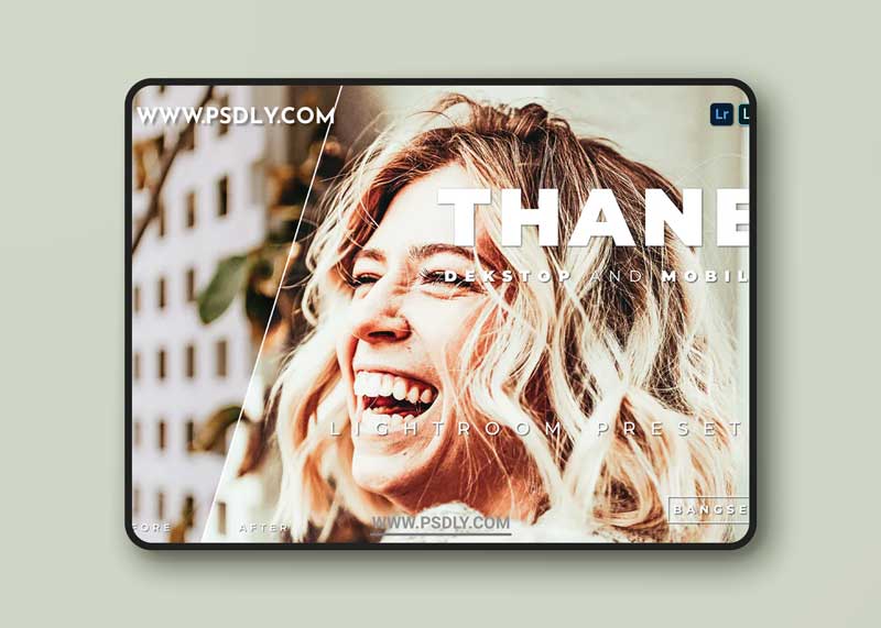 Thane Desktop and Mobile Lightroom Preset