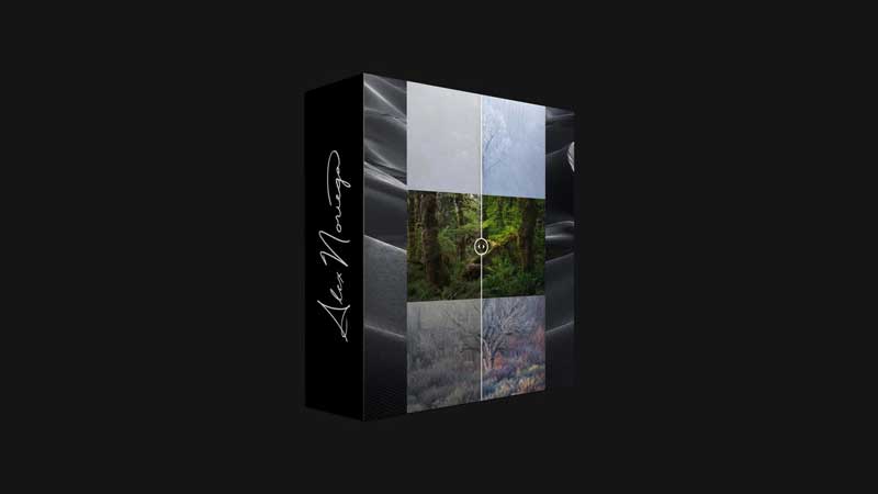 Three Trees – Alex Noriega