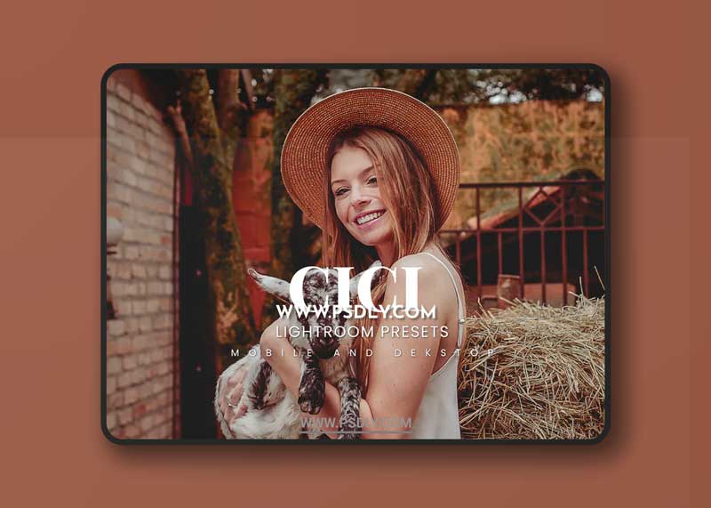 Cici Lightroom Presets Dekstop and Mobile