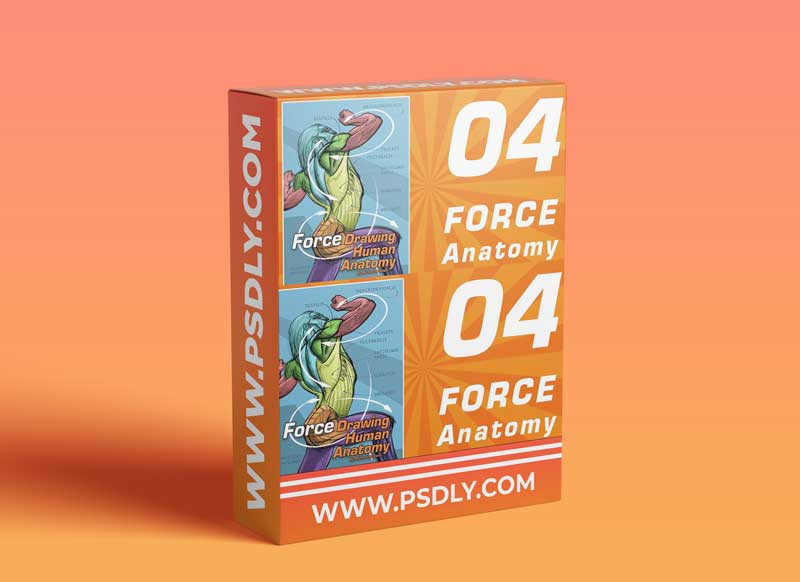 FORCE Drawing Courses - 04 FORCE Human Anatomy by Michael Mattesi