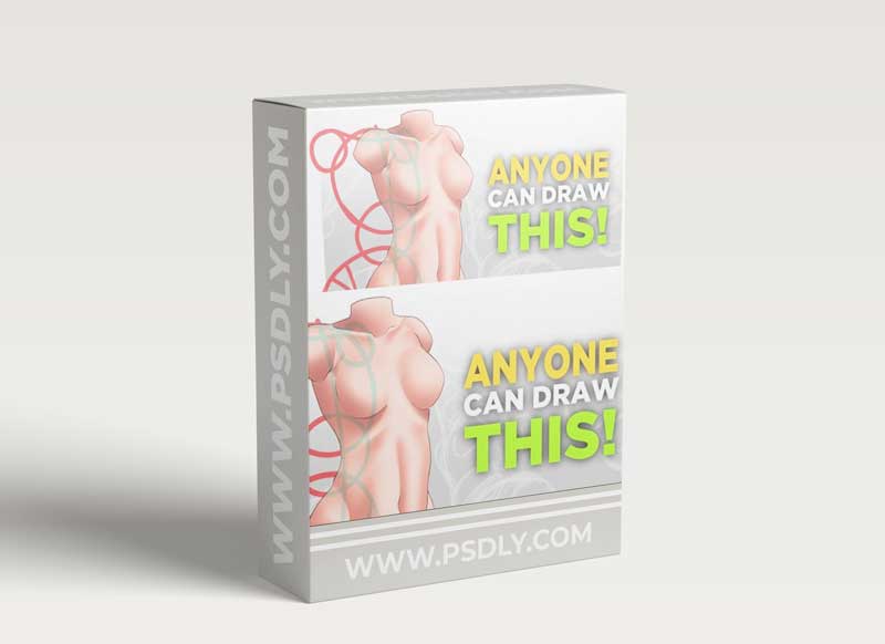 How To Draw The Female Torso - So that anyone can do it