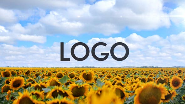 Videohive Sunflower Opener 33348696