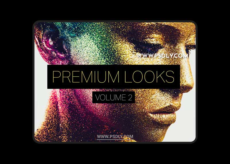 7 Premium Looks Lightroom Presets Vol.2