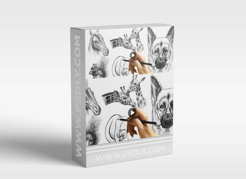 Animal Drawing - Draw and Sketch Animal with Pencil