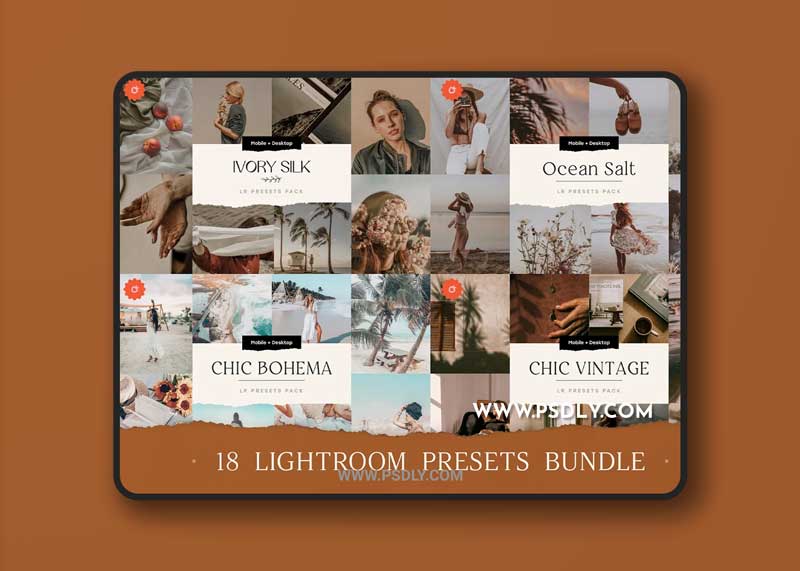 CreativeMarket - 18 TOP Chic Presets Bundle 5503905