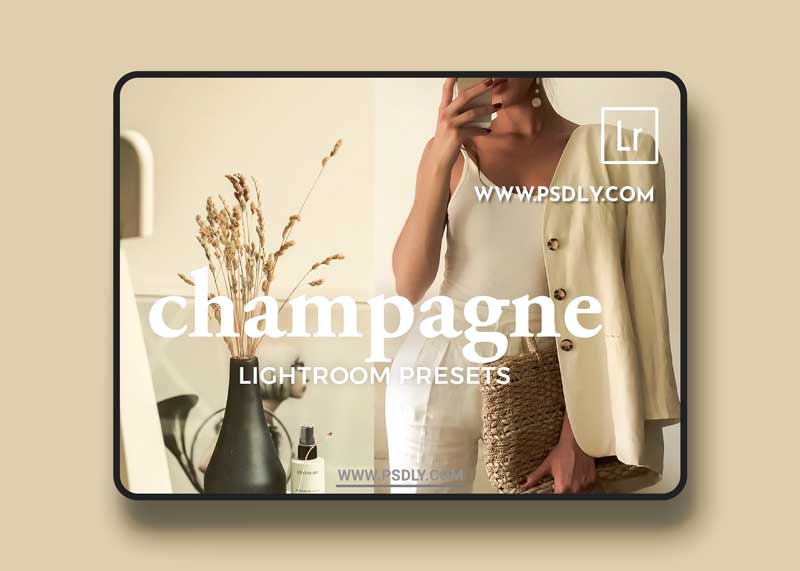 CreativeMarket - 4 Lightroom Presets CHAMPAGNE 5321473
