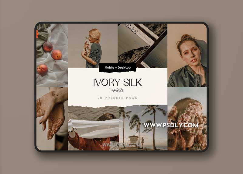 CreativeMarket - 5 Ivory Lightroom Presets 5394422