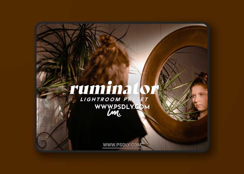 CreativeMarket - RUMINATOR | Lightroom Preset 5529989