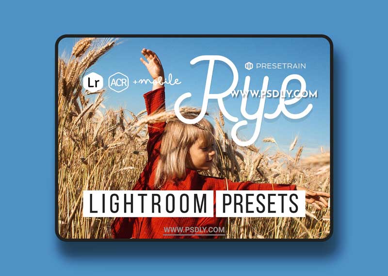 CreativeMarket - Rye Lightroom & ACR Presets 5305718