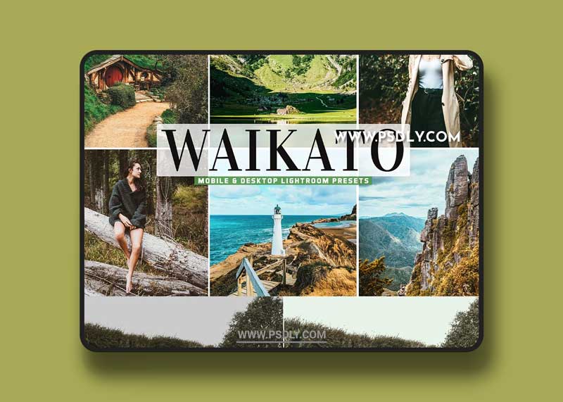 CreativeMarket - Waikato Pro Lightroom Presets 5495573