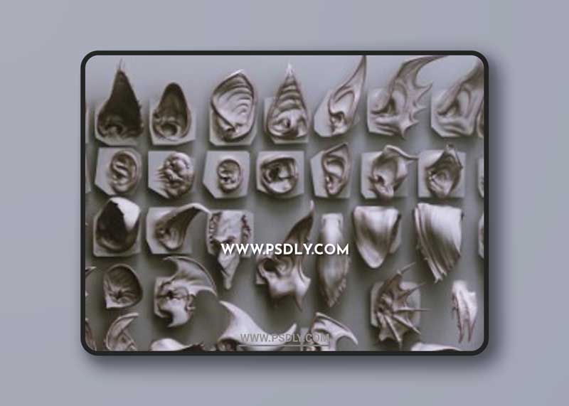 EARS - 40 ZBrush VDMs