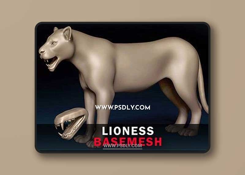 Lioness Basemesh 3D model