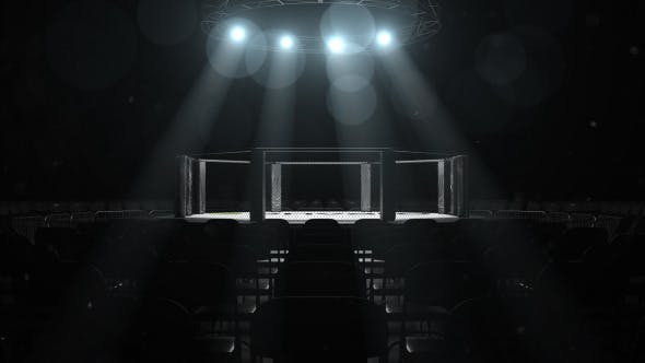 Videohive MMA Logo Sting 10231624