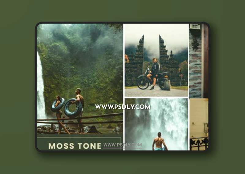 Moss Tone Action & Lightrom Presets
