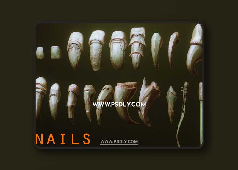 NAILS - 24 Character & Creature Claws & Nails