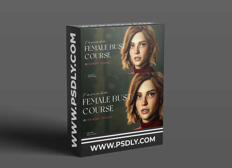 Wingfox - Female Bust Course in Marmoset Toolbag