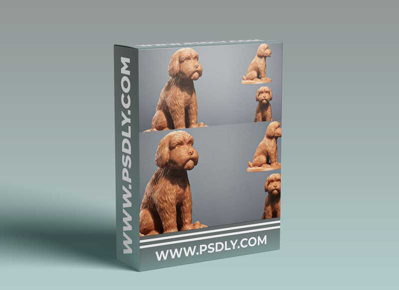 Zbrush dog sculpting for beginners to advanced was