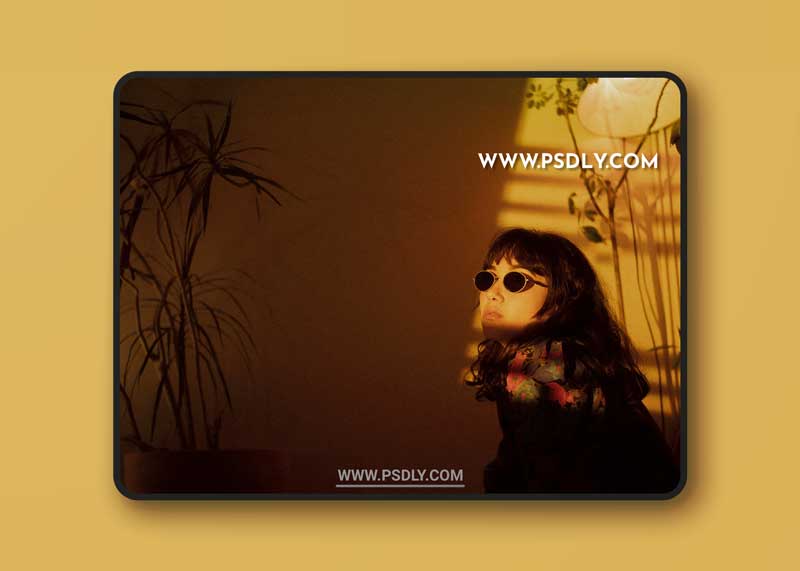The Classic Presets - Classic Vision 3