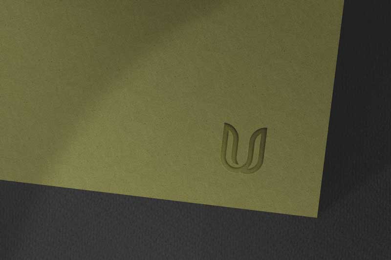 Logo Mockup SWW5NHL