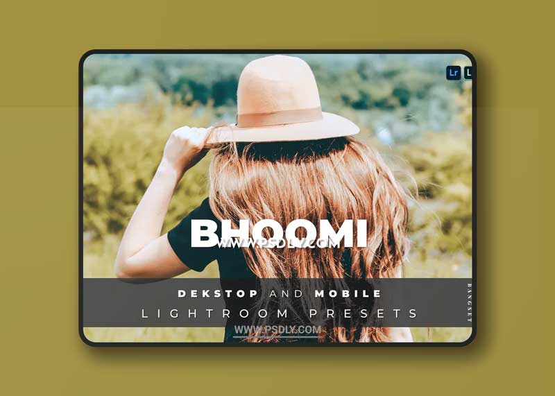 Bhoomi Desktop and Mobile Lightroom Preset