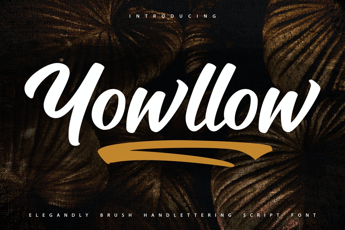 Yowllow Brush Handlettering Script Font