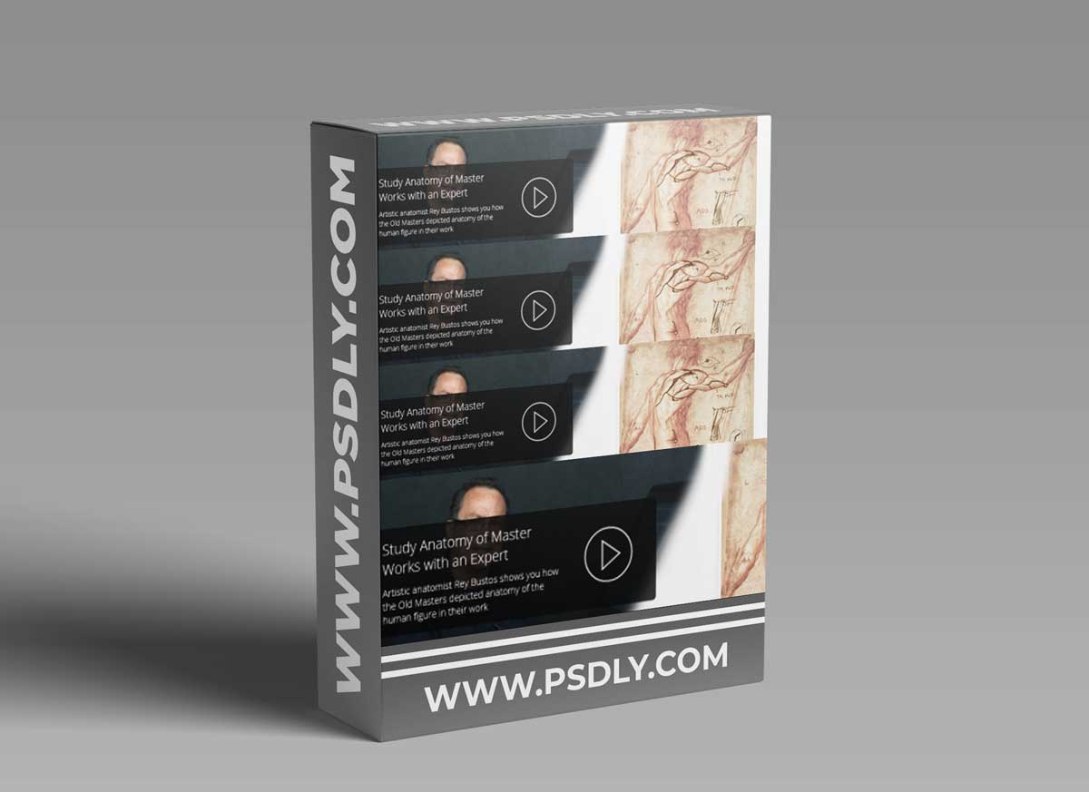 Anatomy of the Masters with Rey Bustos