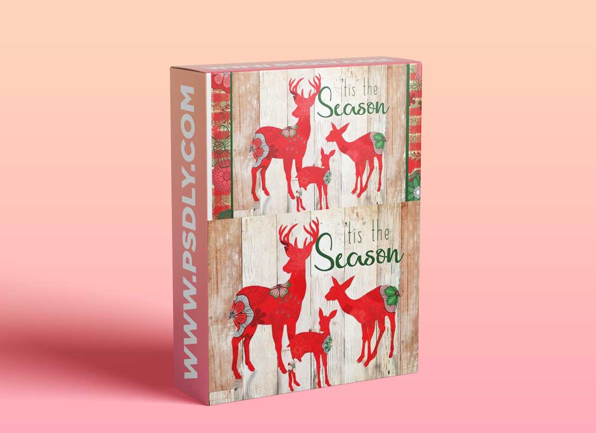 Christmas Art Licensing Proposal Real Demo - Create Seasonal Art for Products and Work with a Client