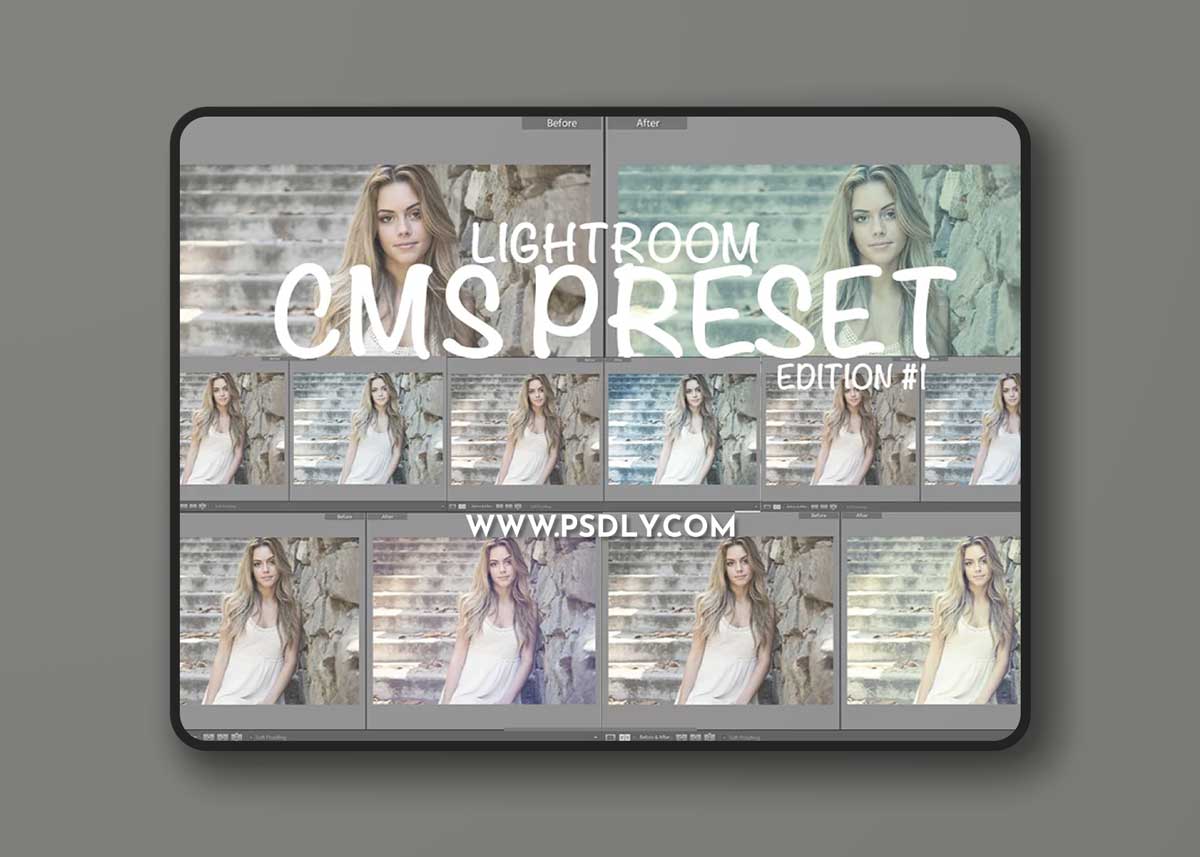 CreativeMarket - Cinematic Lightroom Preset By Cmsvec 1719453