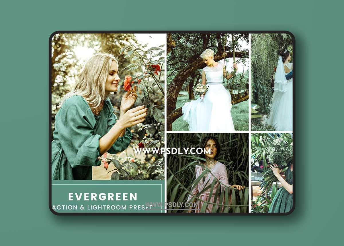 Evergreen Action & Lightrom Presets